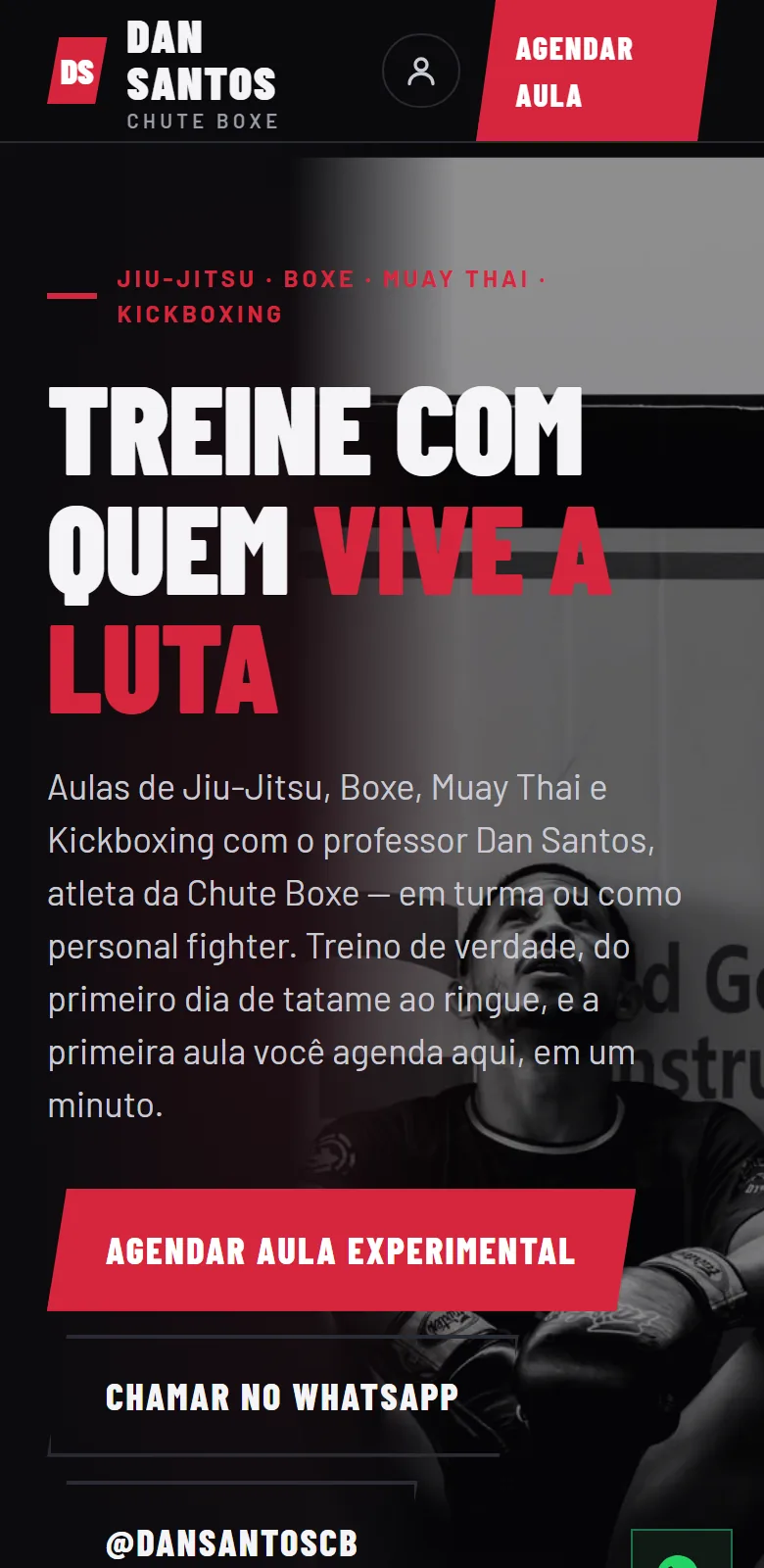 Site do professor Dan Santos aberto no celular